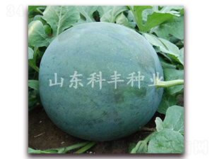 �ڻ��o��-���ϷN��-���S�N�I(y��)