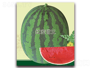 �t������-���ϷN��-���S�N�I(y��)