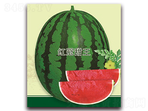 �t������-���ϷN��-���S�N�I(y��)