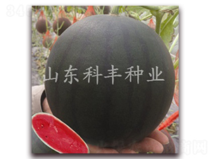 ɽ��ī��-���ϷN��-���S�N�I(y��)