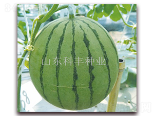 ����200-���ϷN��-���S�N�I(y��)