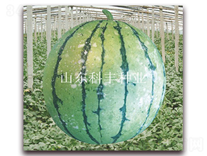 ����180-���ϷN��-���S�N�I(y��)