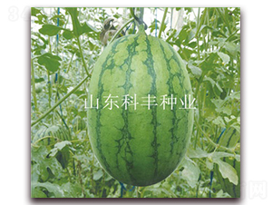 �ᭇ180-���ϷN��-���S�N�I(y��)