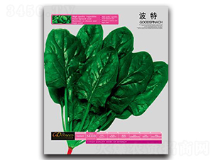 ����-���˷N��-�Έ@����