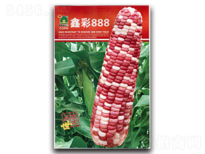 �β�888-���׷N��-�Έ@����