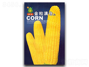 ���������M�}-���׷N��-�Έ@����