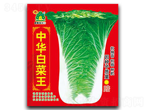 ���A�ײ���-�ײ˷N��-�Έ@����