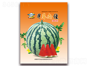 �紺�м�-���ϷN��-�r(n��ng)���r(n��ng)�I(y��)