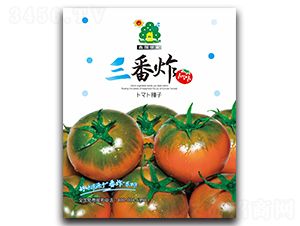 ����ը-���ѷN��-�Έ@����