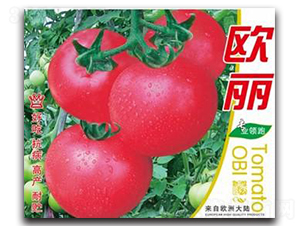 �W��-���ѷN��-�Έ@����