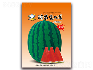 ���r(n��ng)��19̖(h��o)-���ϷN��-�r(n��ng)���r(n��ng)�I(y��)