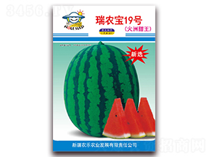 ���r(n��ng)��19̖(h��o)������������-���ϷN��-�r(n��ng)���r(n��ng)�I(y��)