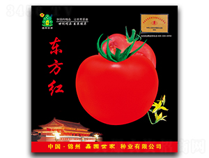 �|���t-���ѷN��-�Έ@����