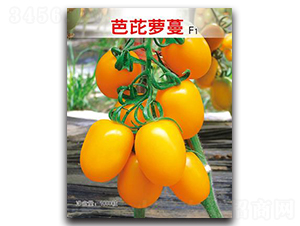 �����}��-���ѷN��-�Έ@����