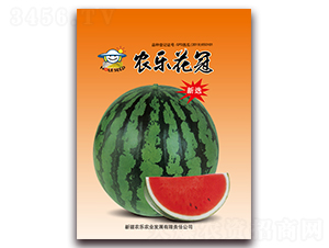 �r(n��ng)������-���ϷN��-�r(n��ng)���r(n��ng)�I(y��)