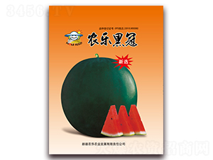 �r(n��ng)���ڹ�-���ϷN��-�r(n��ng)���r(n��ng)�I(y��)