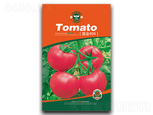 �W��404-���ѷN��-�Έ@����