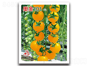 �W��101-���ѷN��-�Έ@����