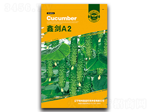 �΄�A2-�S�ϷN��-�Έ@����