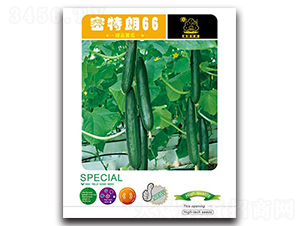 ������66-�S�ϷN��-�Έ@����