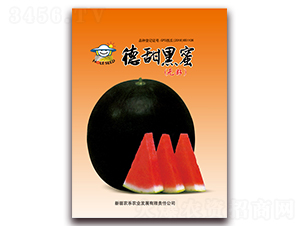 �������-���ϷN��-�r(n��ng)���r(n��ng)�I(y��)