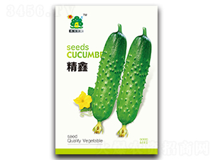 ����-�S�ϷN��-�Έ@����