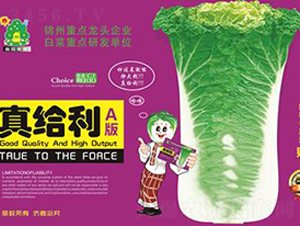 ��o��A-�ײ˷N��-�Έ@����