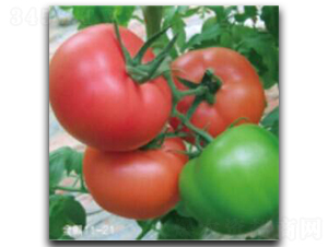 ����11-21-���ѷN��