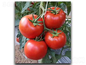 ����128-���ѷN��