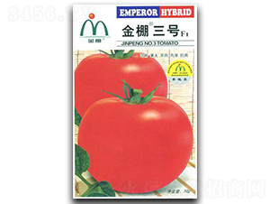 ������̖-���ѷN��