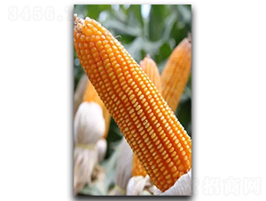 ¡�S7889-���׷N��