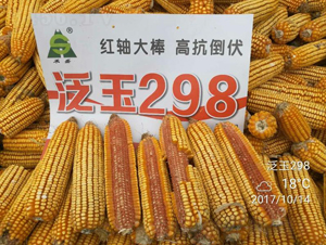 ����298-���׷N��