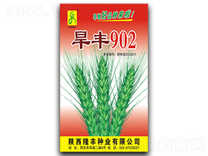 ���S902-С���N��