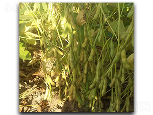 �_�¾G-ë���N��-ï�A�N�I(y��)