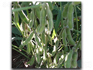 �_��75-3-ë���N��-ï�A�N�I(y��)