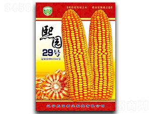 ���@29̖-���׷N��-���@�N�I(y��)