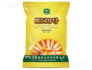 ���@9̖-���׷N��-���@�N�I(y��)