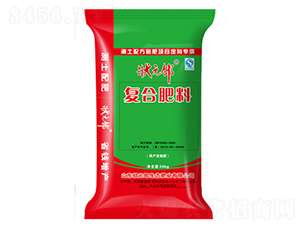 ��(f��)�Ϸ�-��Ԫ��-˹����