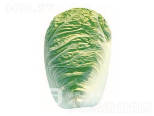 ���01-��ײ˷N��-�¸�