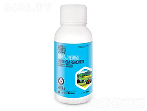 �����-�{�R�ʘI(y��)