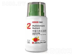 ���w�����}�V-������