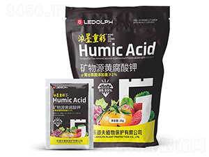 �V��Դ�S�����-��ī�ز�-������