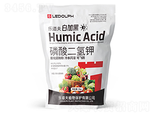 ��������-�׼Ӻ�-������