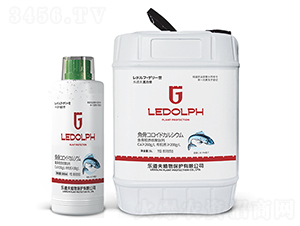 �~���z�|(zh��)�;����}-�w����-������