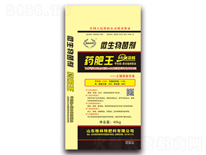 ˎ����-������