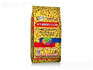 ��������󶹶���-������