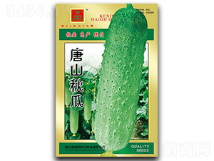 ��ɽ���-�S�ϷN��-���d�N�I(y��)