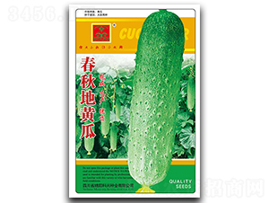 ������S��-�S�ϷN��-���d�N�I(y��)