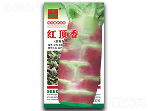 �t���-�n�S�N��-���d�N�I(y��)