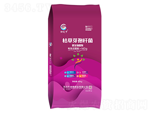 5�|�ݲ�ѿ�ߗU��΢�������-�w����-�S�ؾ�